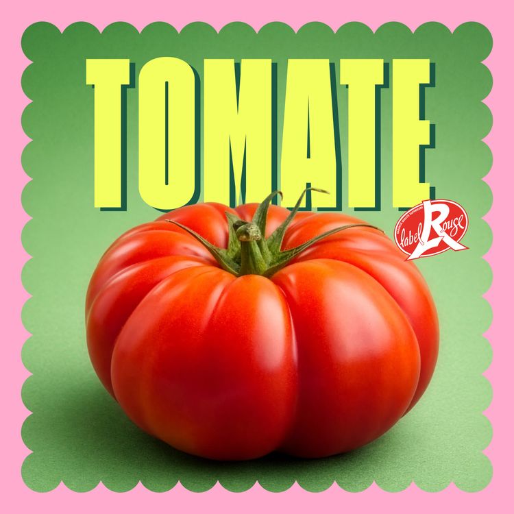 cover art for Podcast Ép. 6 - Tomate Label Rouge en Lot-et-Garonne