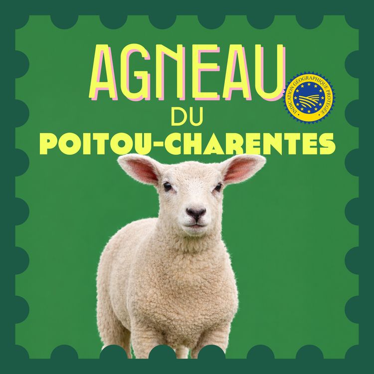cover art for Épisode 9 – Agneau du Poitou-Charentes IGP Label Rouge Diamandin