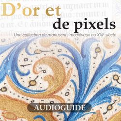 cover art for D'Or et de pixels : la visite guidée