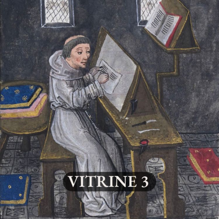 cover art for 3 - Organiser la collection