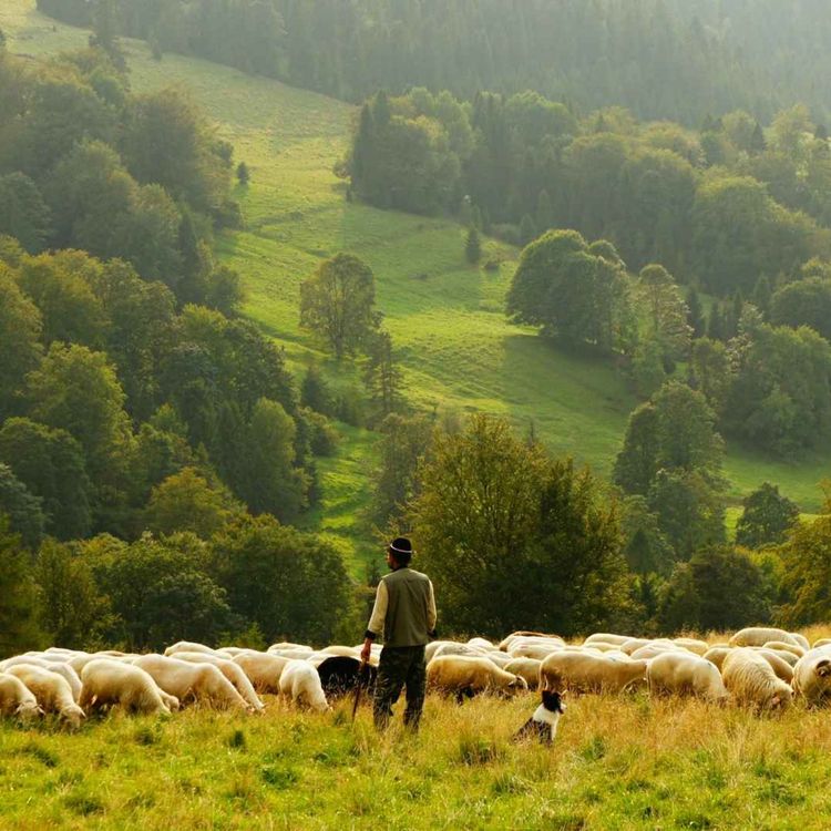 cover art for Matthew 28:16-20 ~ Paul Ritchie ~ 16/03/25 ~ I Patrick, A Sinner