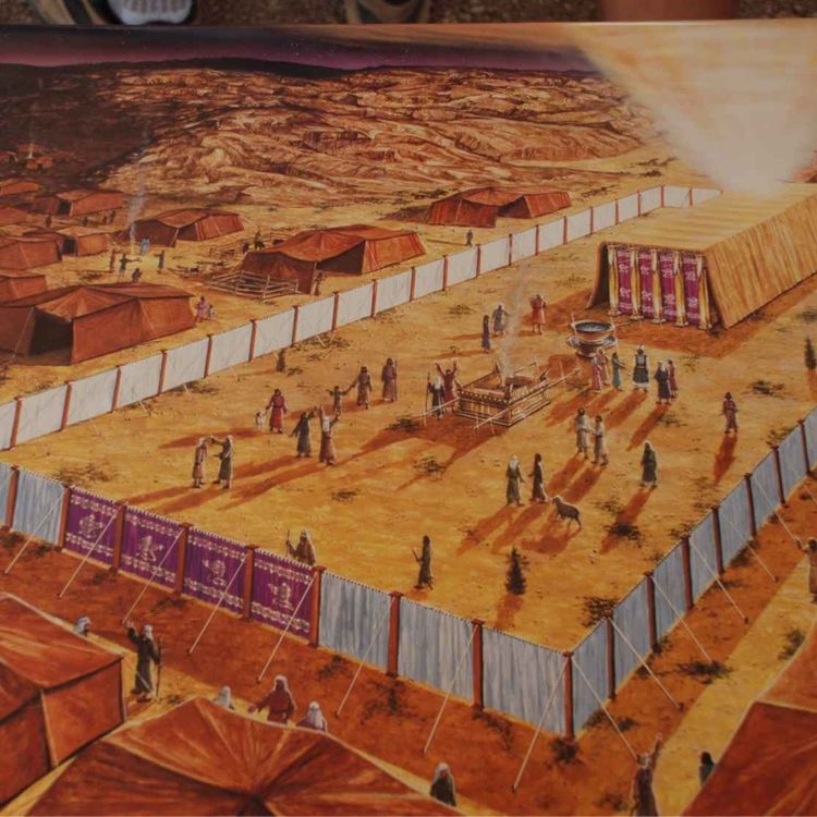 cover art for Numbers 8,9,10 : 1-36 Paul 29/03/2026