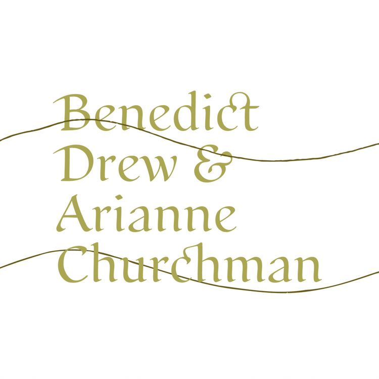 cover art for The Limitless Field