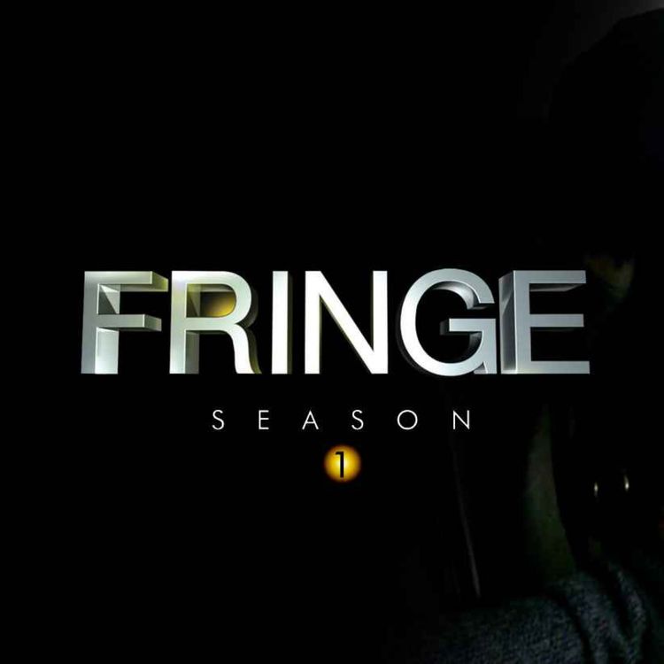 cover art for Fringe : saison 1
