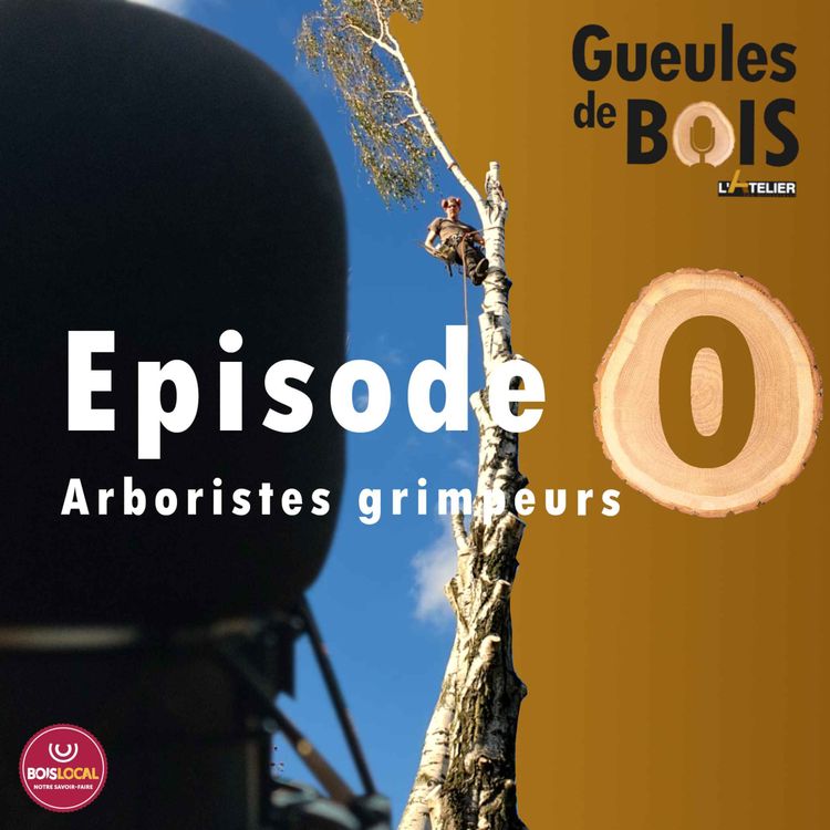 cover art for GDB #0 - Arboriste, grimpeur ou élagueur ?