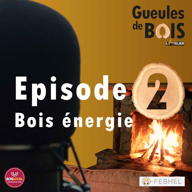 cover art for GDB #2 - Se chauffer au bois? 