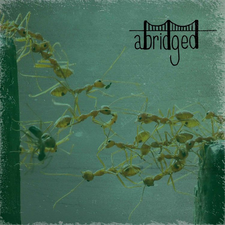 cover art for Ant Bridges