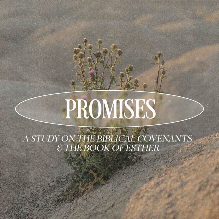 cover art for The Abrahamic Covenant