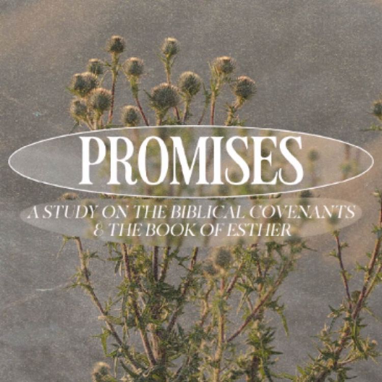 cover art for The New Covenant