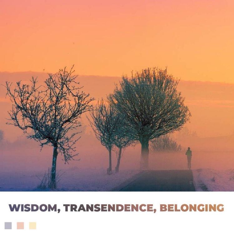 cover art for Transcendence: Where's the Magic?