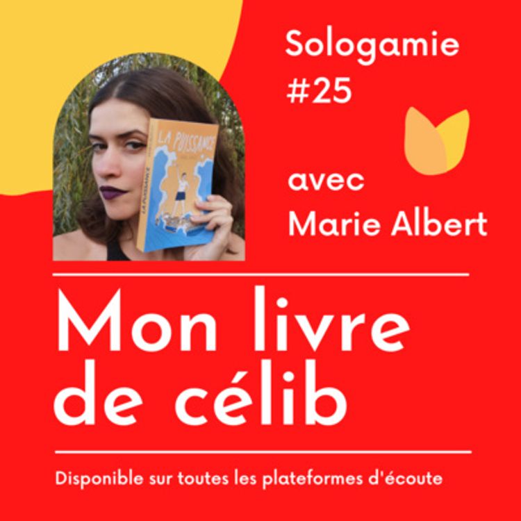 cover art for Je publie mon premier livre de célibataire !