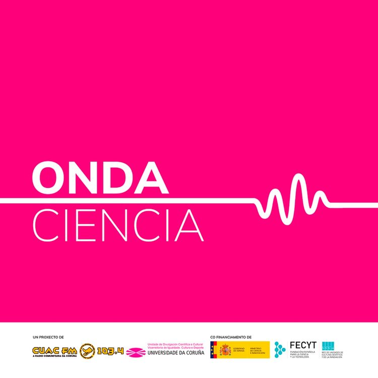 cover art for O Uso Do Galego Na Intelixencia Artificial