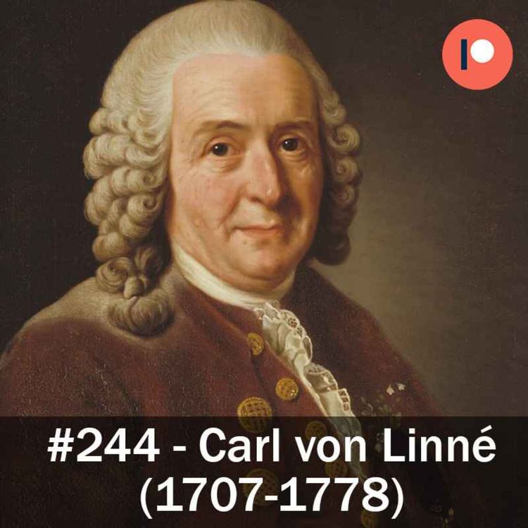 cover art for 244. Carl von Linné (1707-1778)