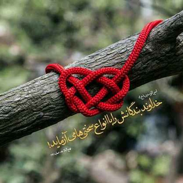 cover art for همگی غربال می شوید