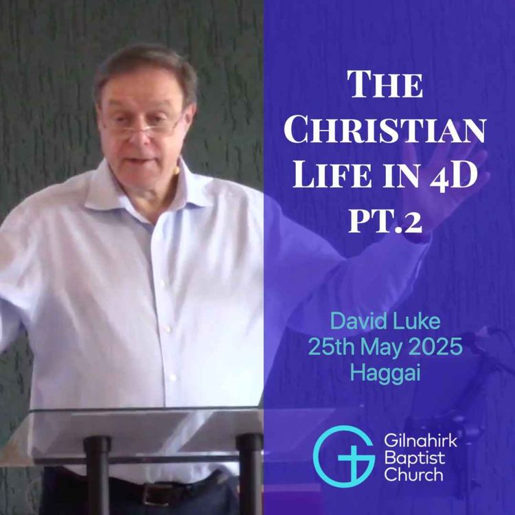 cover art for The Christian Life in 4D pt 2 // David Luke // Haggai
