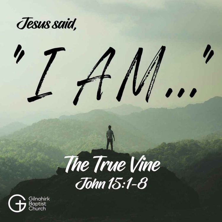 cover art for [I AM] #7 I am the True Vine  (John 15)