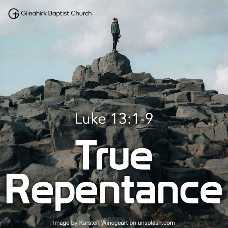 cover art for [Solid Ground] #30 - True Repentance (Luke 13:1-9)