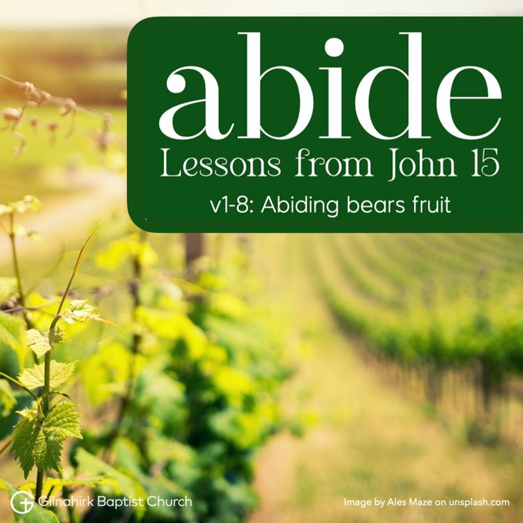 cover art for Abide // Lessons from John 15 // 1 - Abiding bears fruit