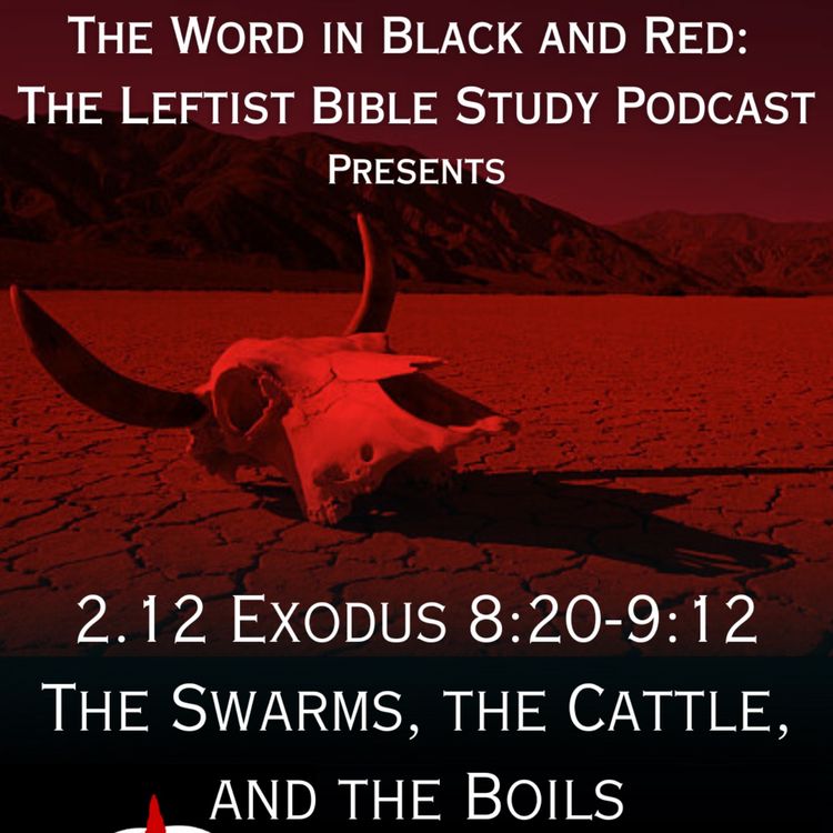 cover art for S 2.12 | Exodus 8:20-9:12 | Triad 2: The Swarms, the Cattle, and the Boils