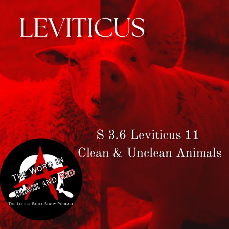 cover art for 3.6 | Leviticus 11 | Clean & Unclean Animals
