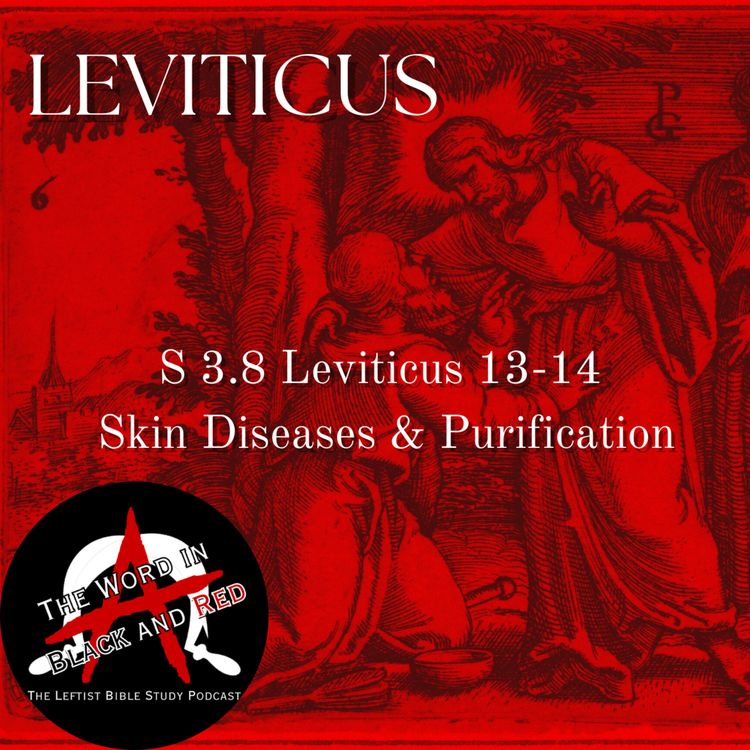 cover art for 3.8 | Leviticus 13-14 | Skin Diseases & Purification