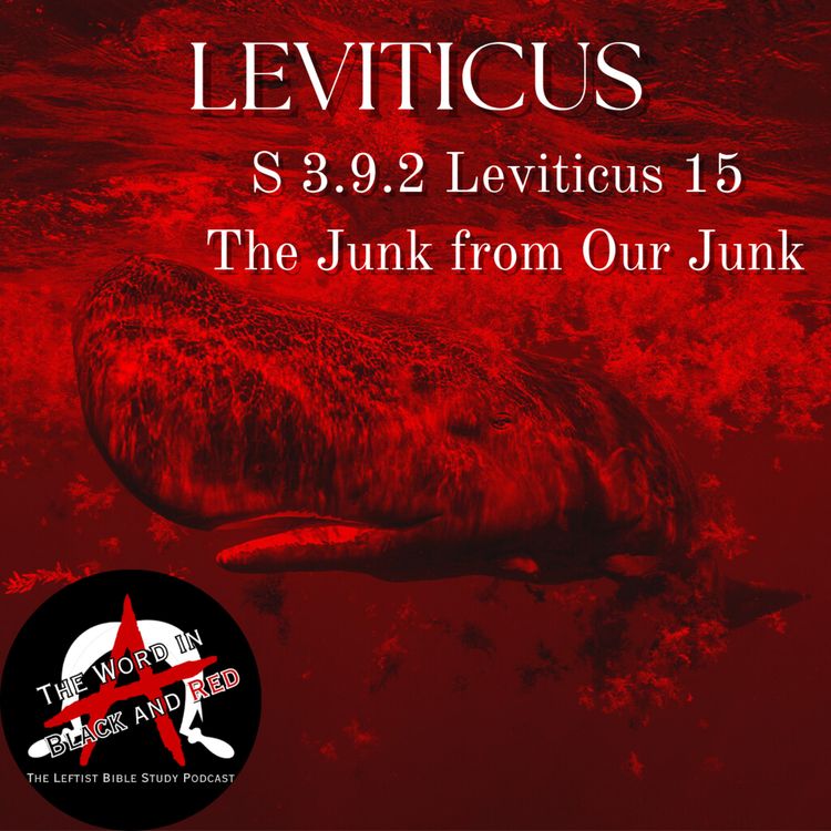 cover art for 3.9.2 | Leviticus 15 | The Junk from Our Junk