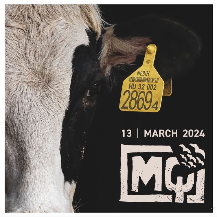 cover art for EPISODE 004: I CARE WHAT YOU DO