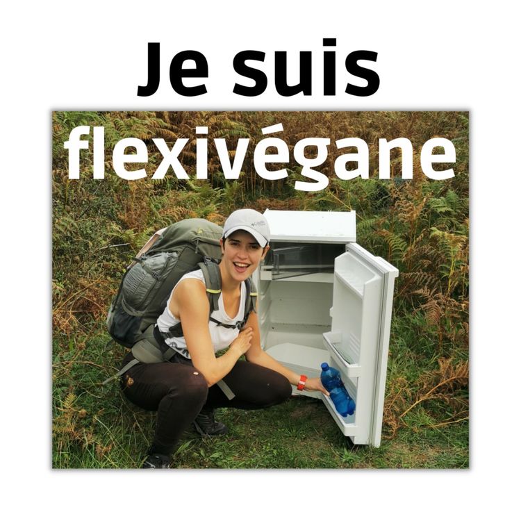 cover art for Je suis flexivégane et orthorexique