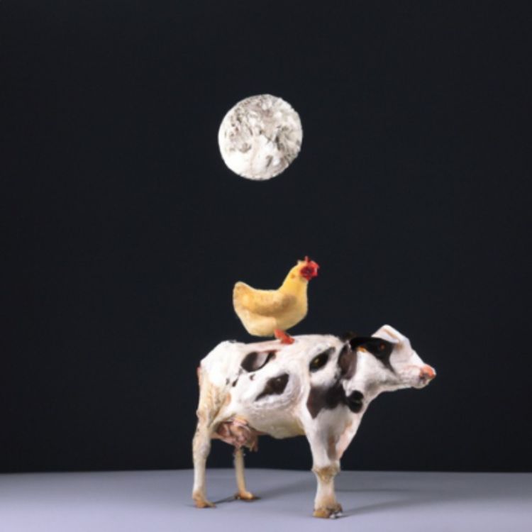 cover art for Beef for Breakfast 