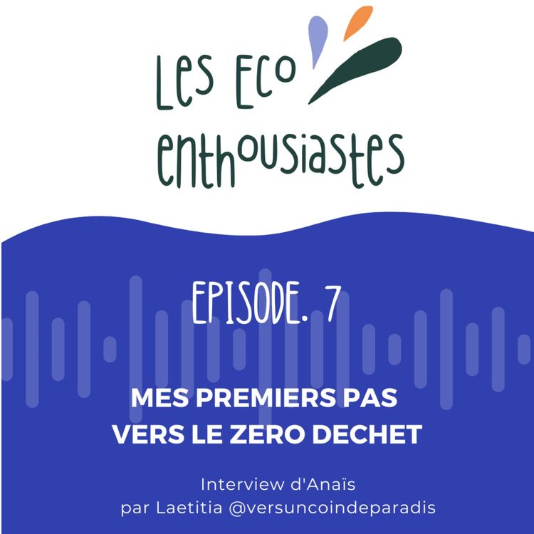 cover art for Mes premiers pas vers le zéro déchet