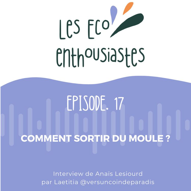 cover art for Comment sortir du moule ?