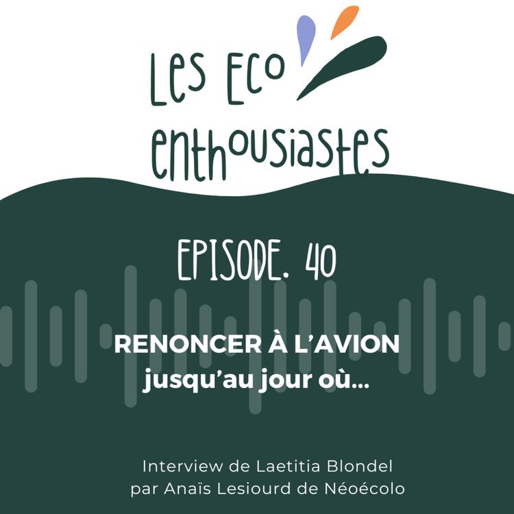 cover art for Renoncer à prendre l’avion jusqu’au jour où...