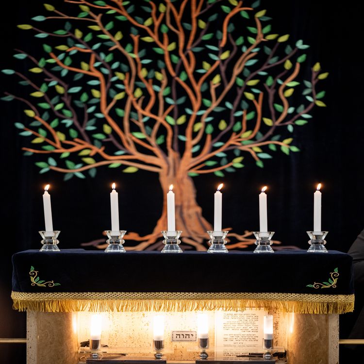 cover art for Newsletter de Marc Kogel : Kedochim