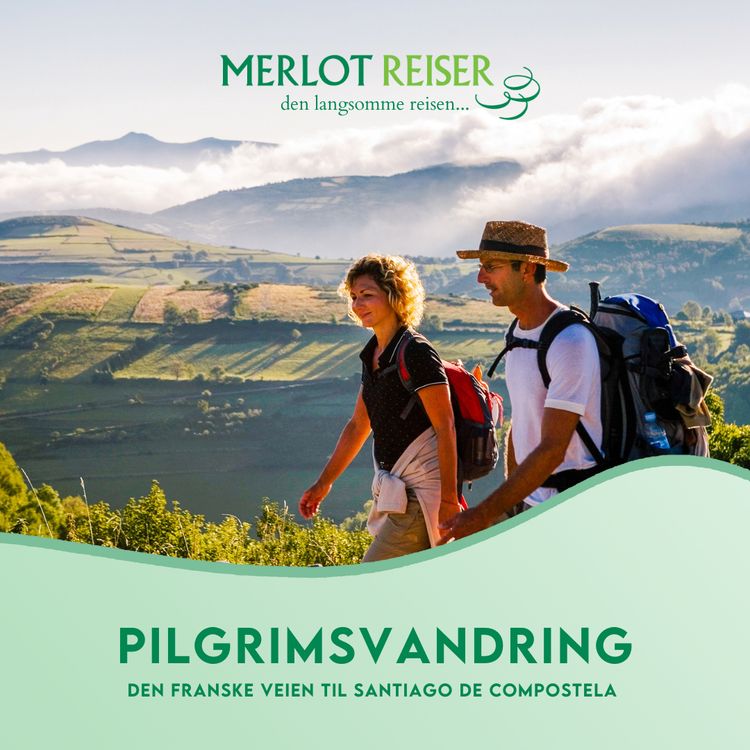 cover art for Pilegrimsvandring til Santiago de Compostela