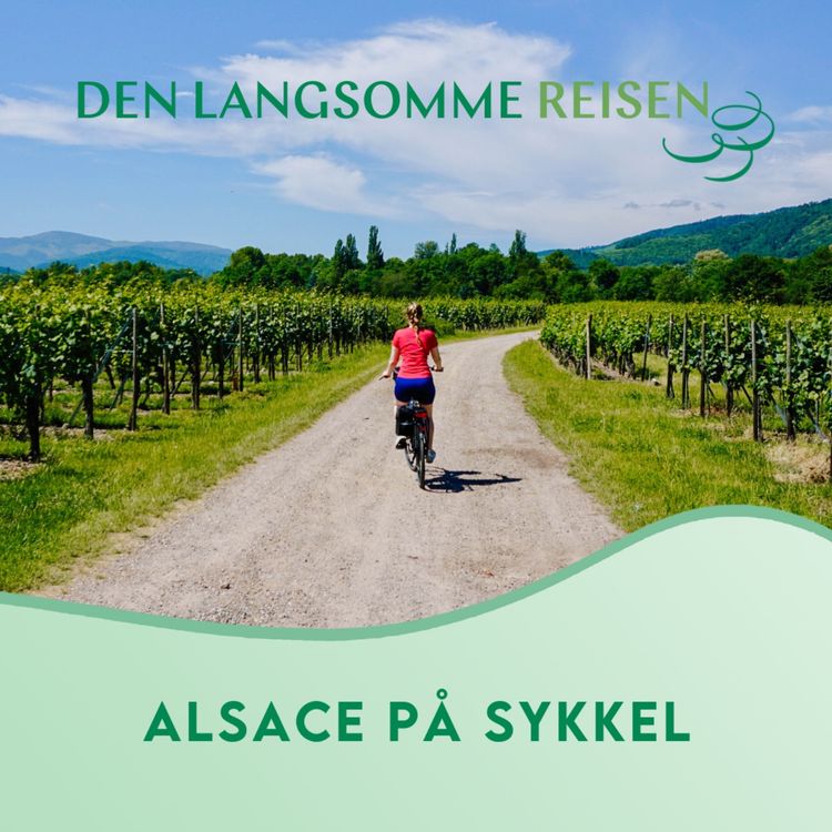 cover art for Alsace på sykkel