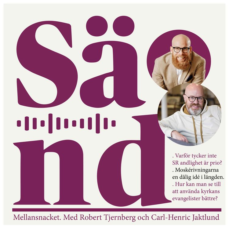 cover art for Ep 27 Moskerivningar och evangelister