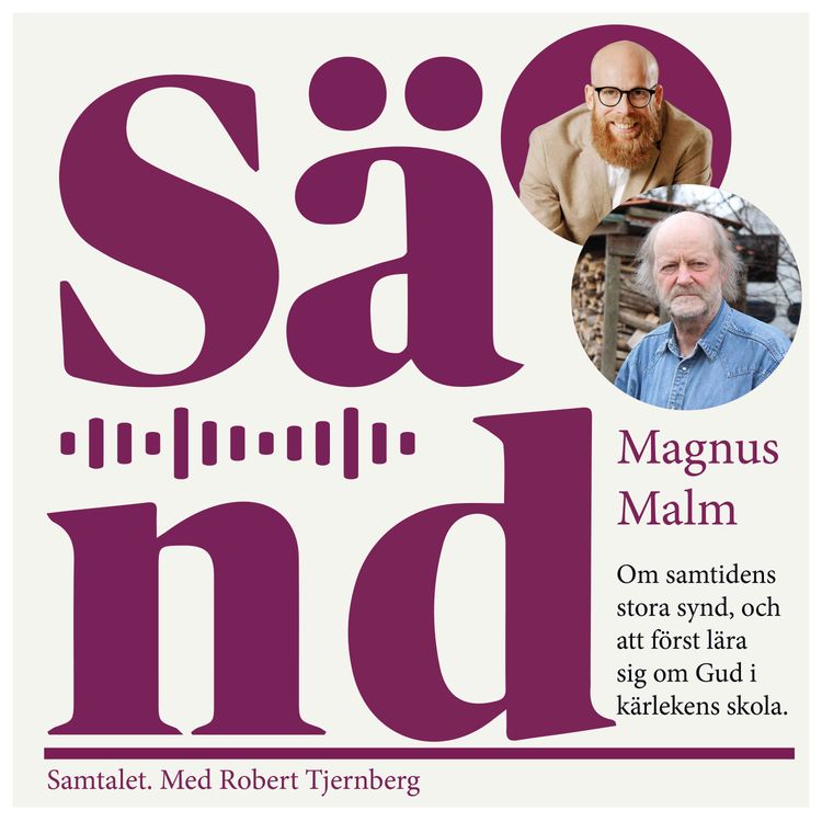 cover art for Ep 59: Magnus Malm om samtidens stora synd...