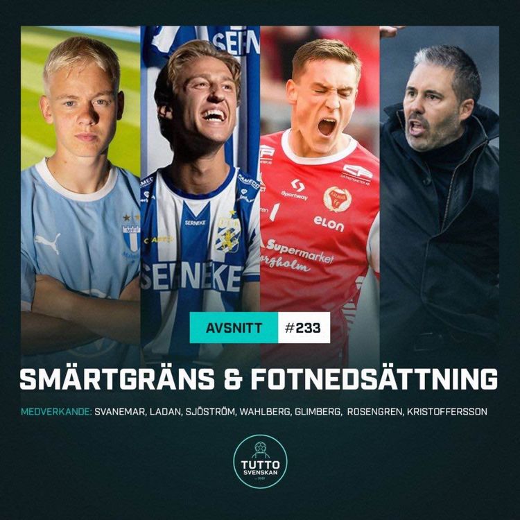 cover art for #233 SMÄRTGRÄNS & FOTNEDSÄTTNING 