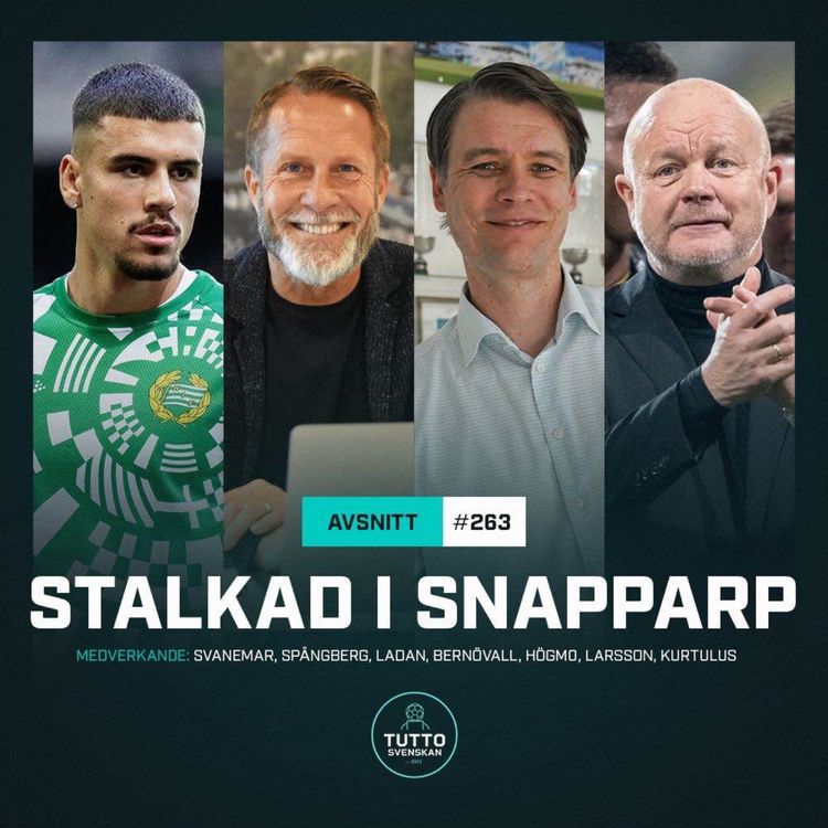 cover art for #263 Stalkad i Snapparp