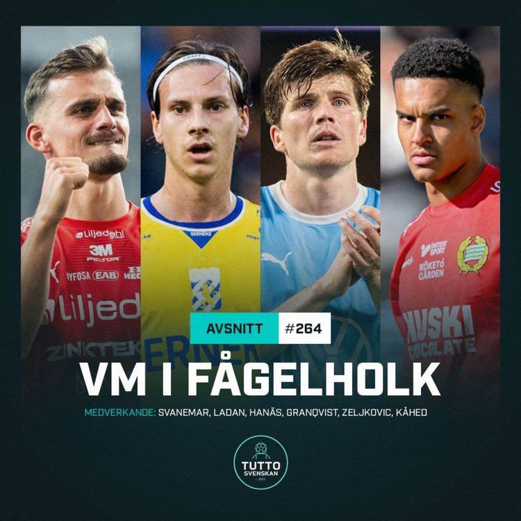 cover art for #264 VM i fågelholk