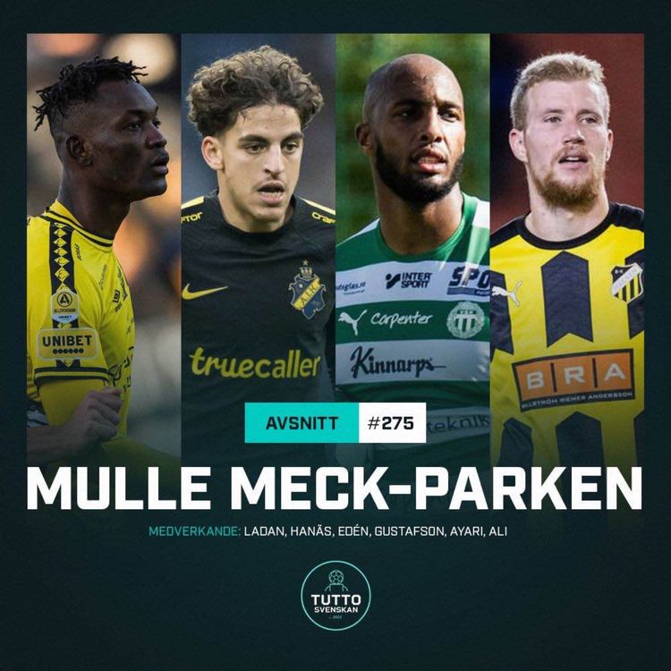 cover art for #275 Mulle Meck-parken