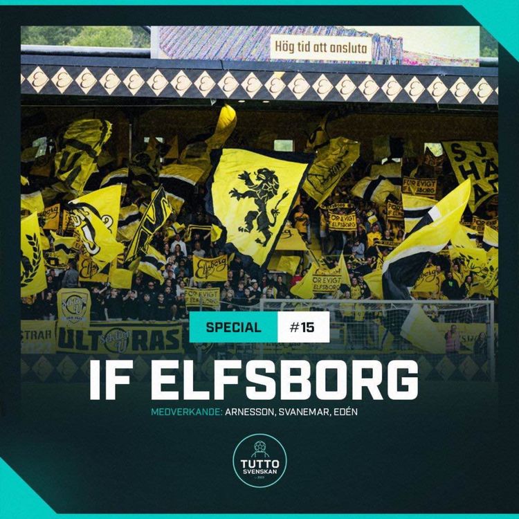 cover art for SPECIAL #15 - IF ELFSBORG