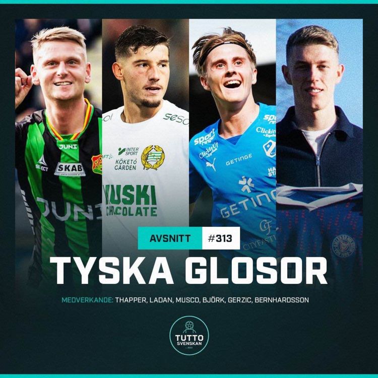 cover art for #313 Tyska glosor