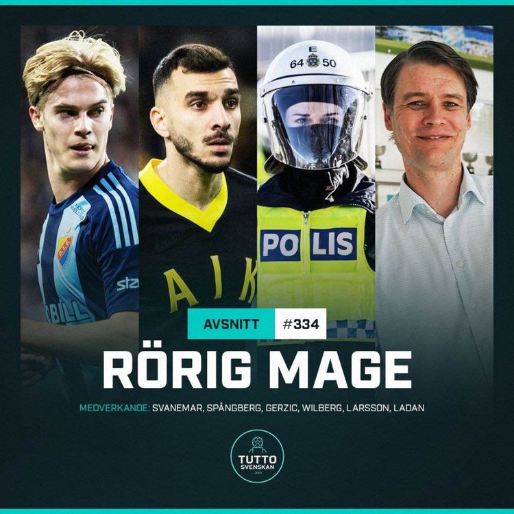 cover art for #334 Rörig mage