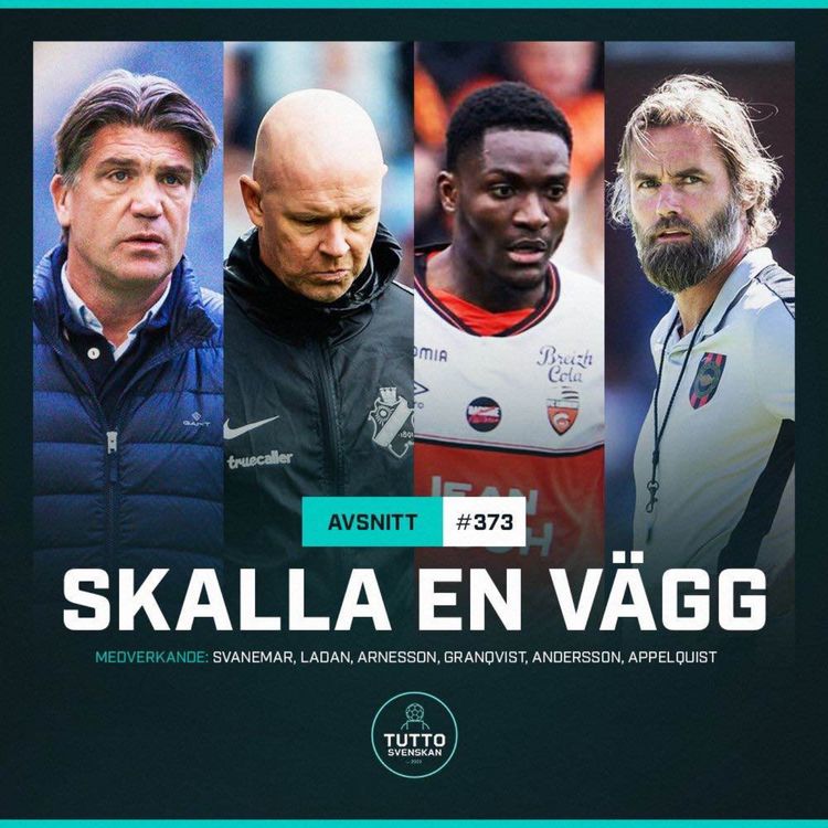 cover art for #373 Skalla en vägg