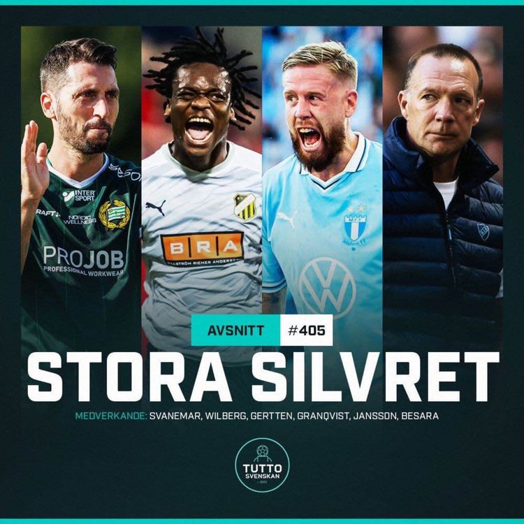cover art for #405 Stora silvret