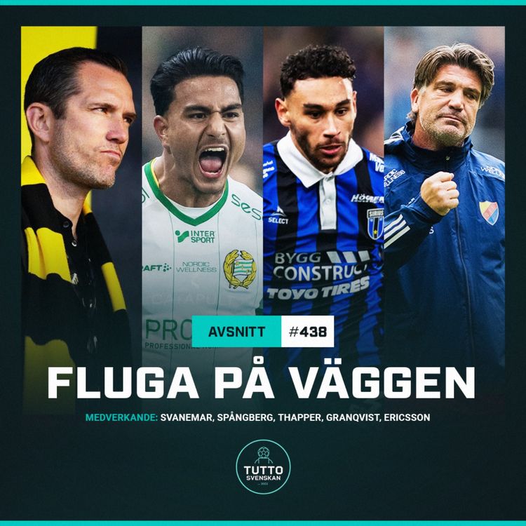 cover art for #438 Fluga på väggen