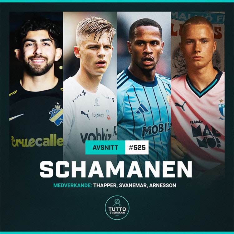 cover art for #525 Schamanen