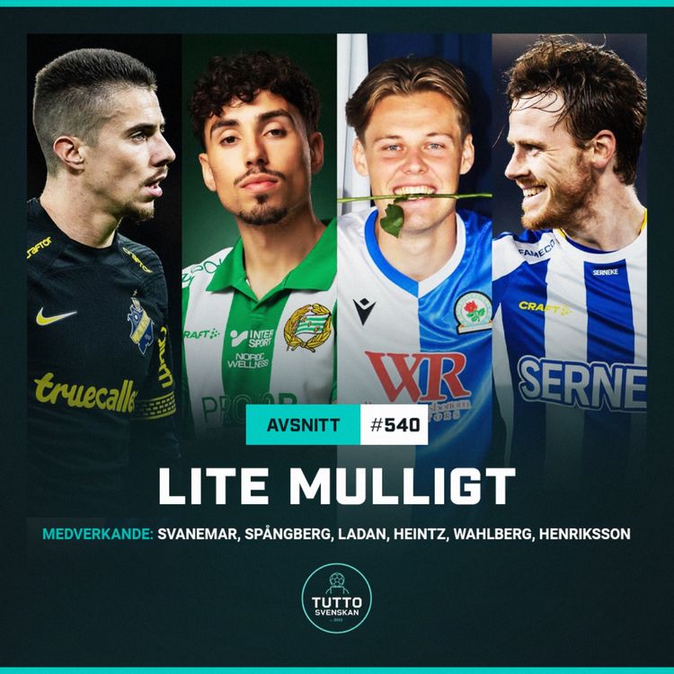 cover art for #540 Lite mulligt