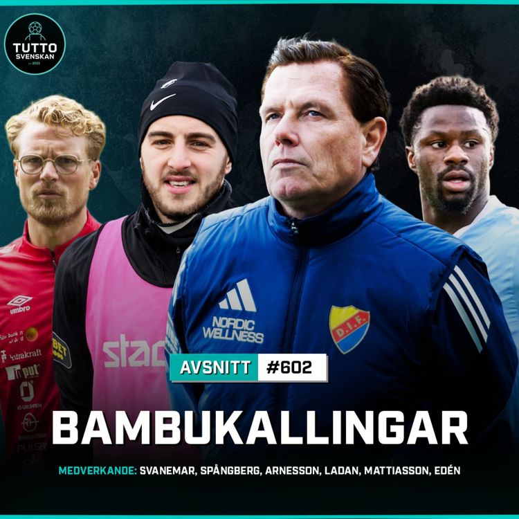 cover art for #602 Bambukallingar